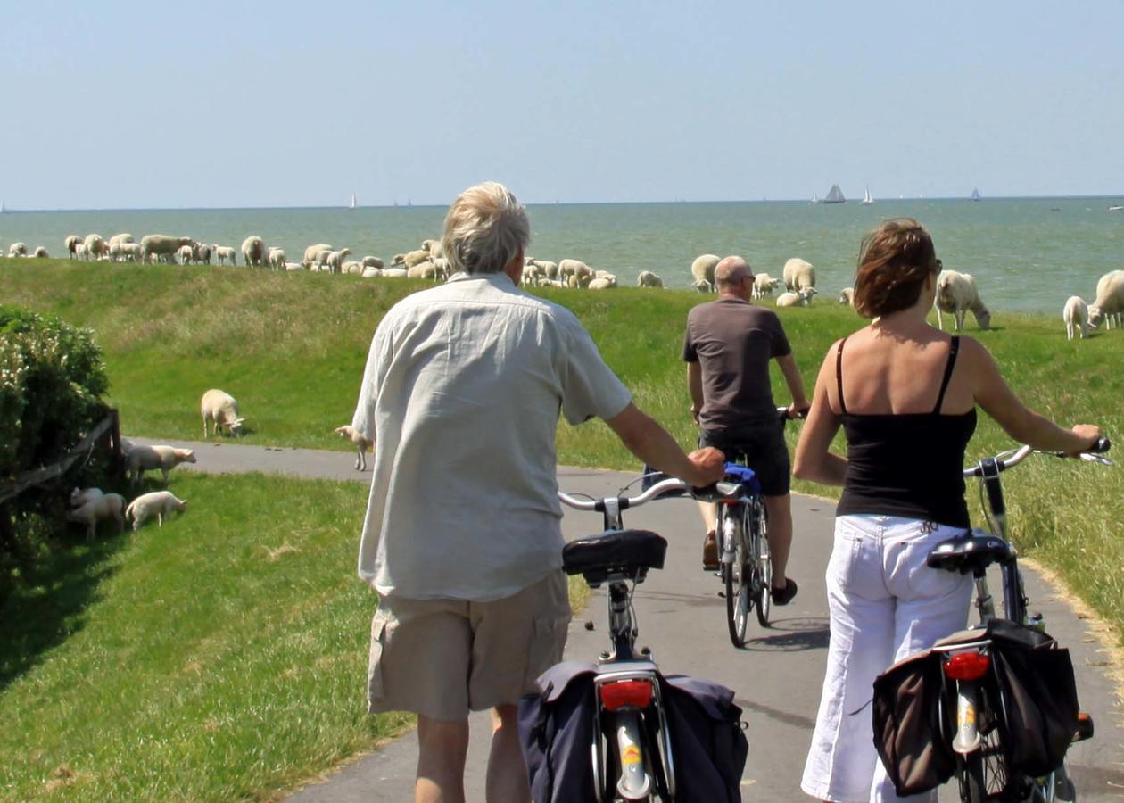 Friesland-Cottage Molkwerum 外观 照片
